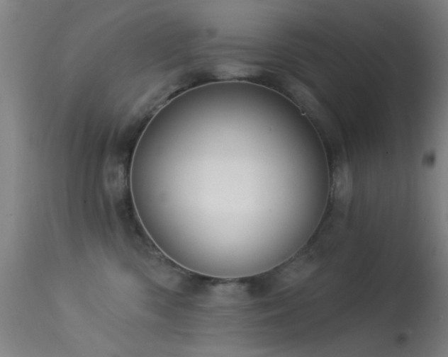 X0000113320426200909211200