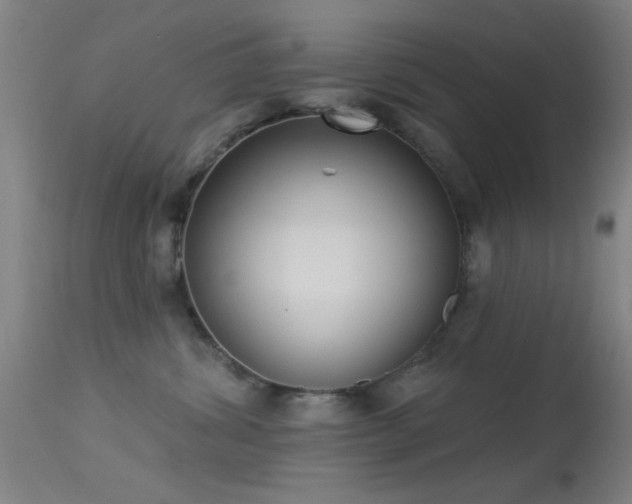 X0000113320428200909211200