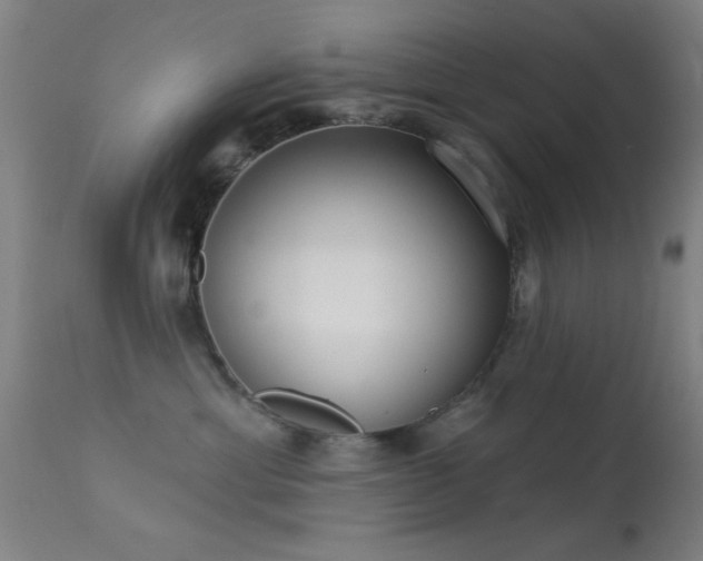 X0000113320429200909211200