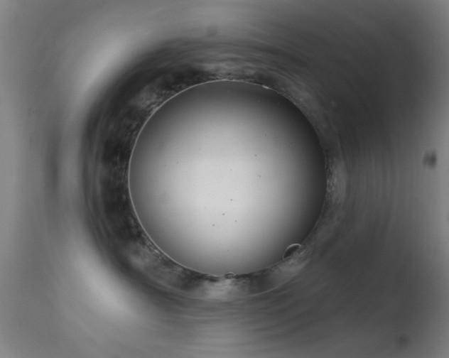 X0000113320430200909211200