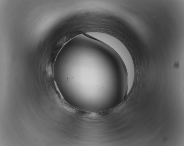 X0000113320431200909211200