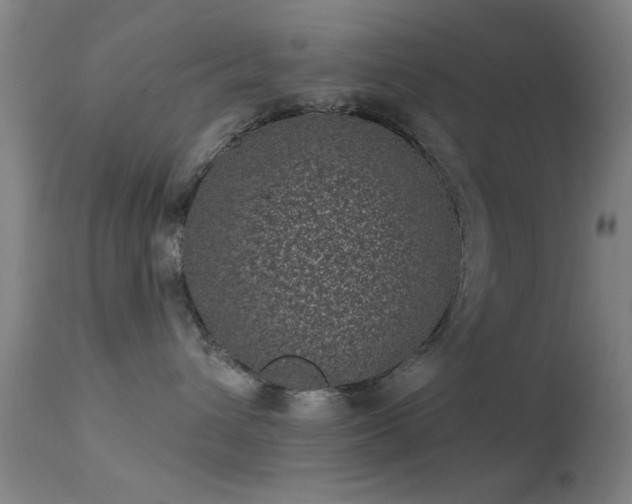 X0000113320432200909211200