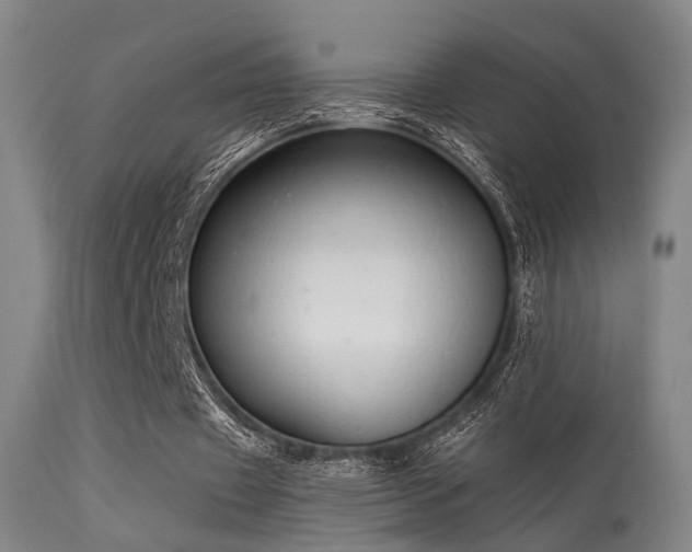 X0000113320433200909211200