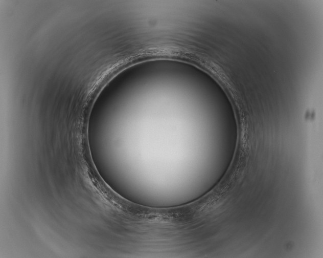 X0000113320434200909211200