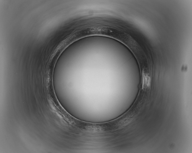 X0000113320435200909211200