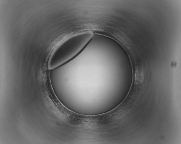 X0000113320436200909211200