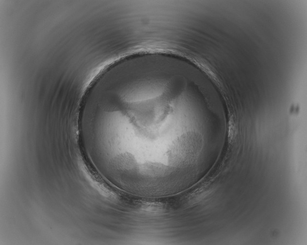 X0000113320438200909211200