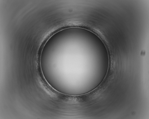 X0000113320439200909211200