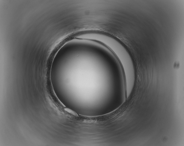 X0000113320440200909211200