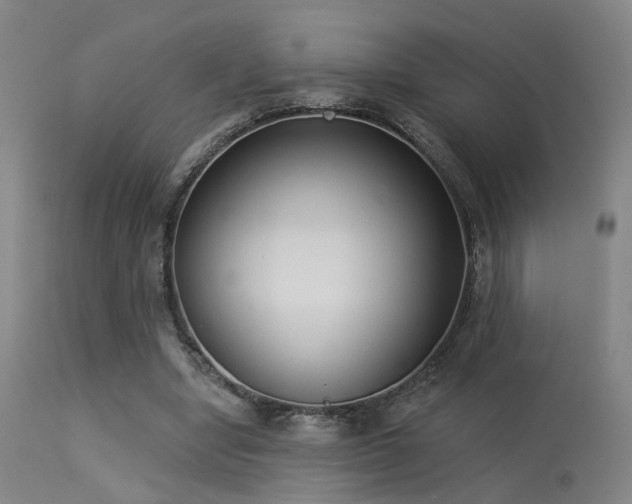 X0000113320442200909211200