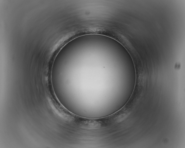 X0000113320443200909211200