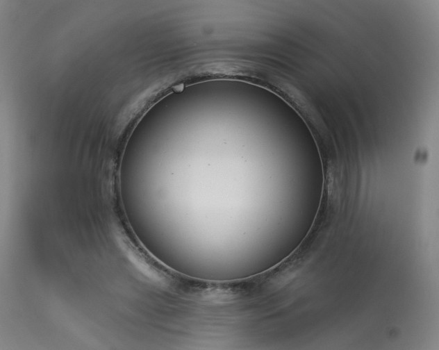 X0000113320445200909211200