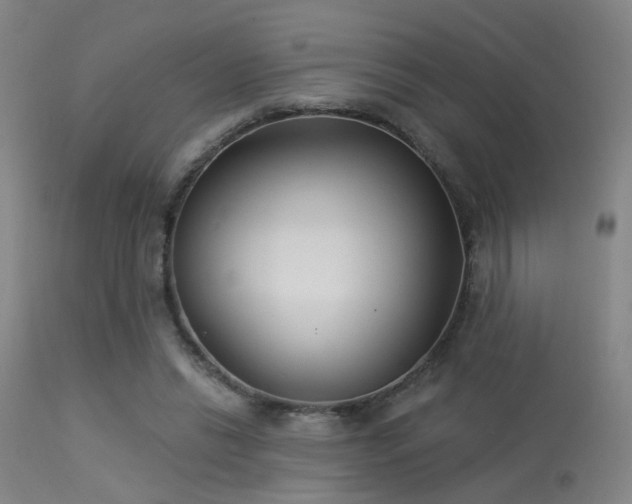 X0000113320446200909211200