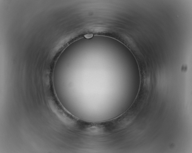 X0000113320447200909211200