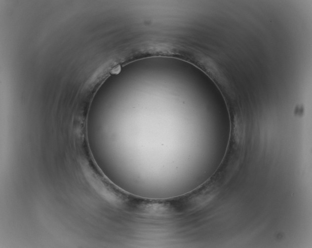 X0000113320449200909211200