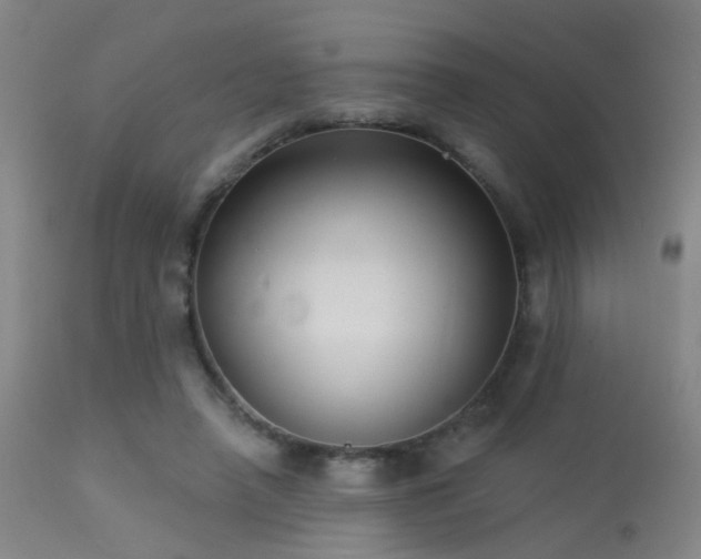 X0000113320450200909211200