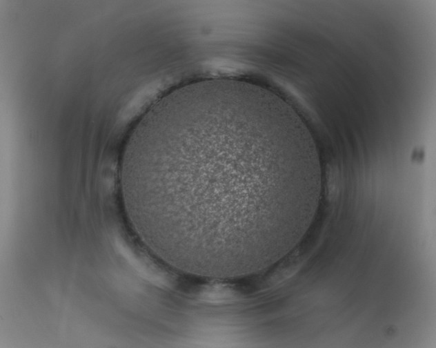 X0000113320451200909211200