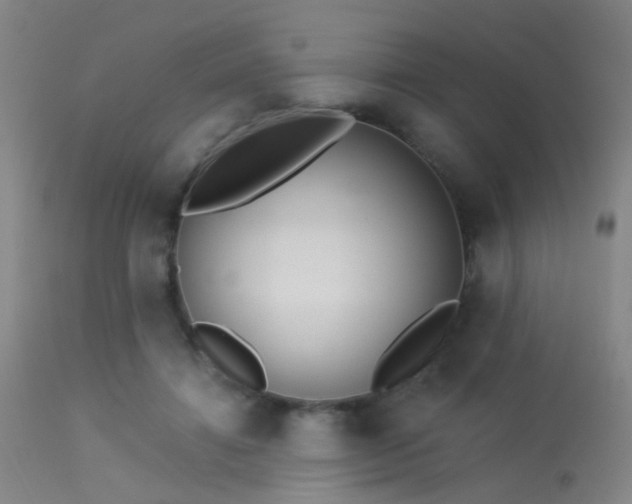 X0000113320452200909211200