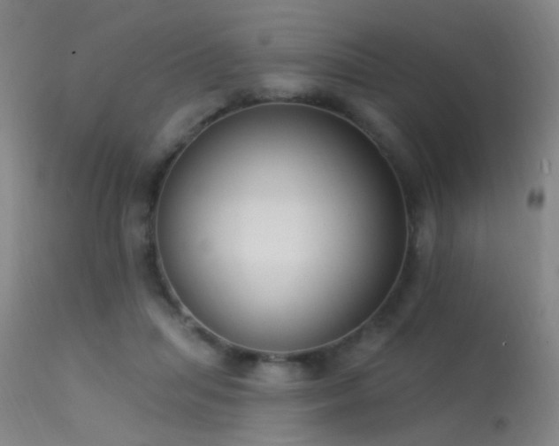 X0000113320455200909211200