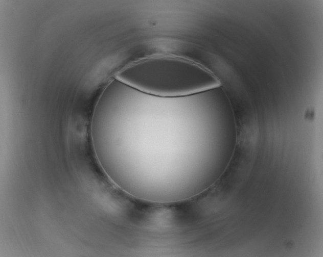 X0000113320456200909211200