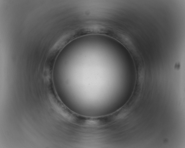 X0000113320457200909211200