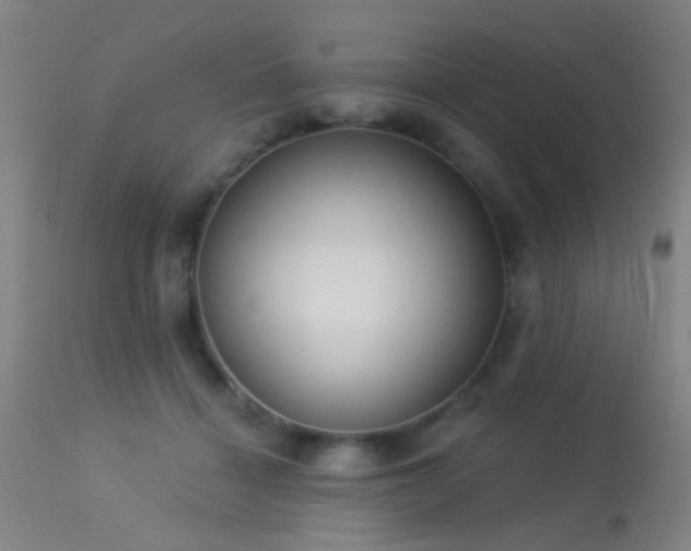 X0000113320460200909211200