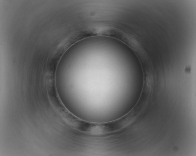 X0000113320461200909211200