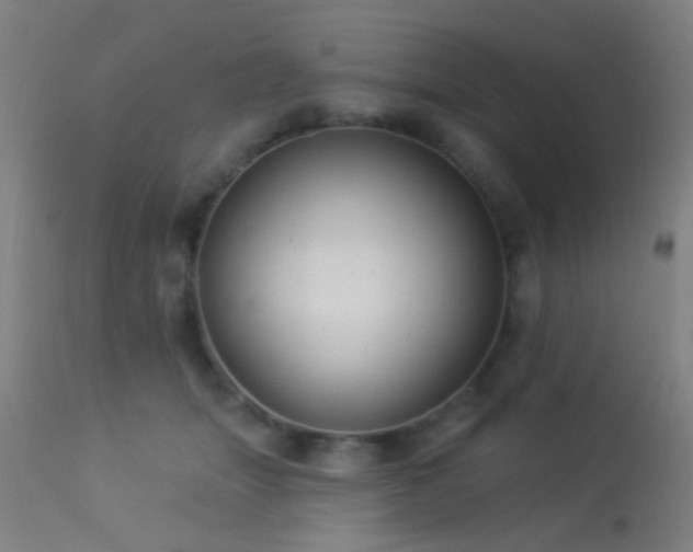 X0000113320463200909211200