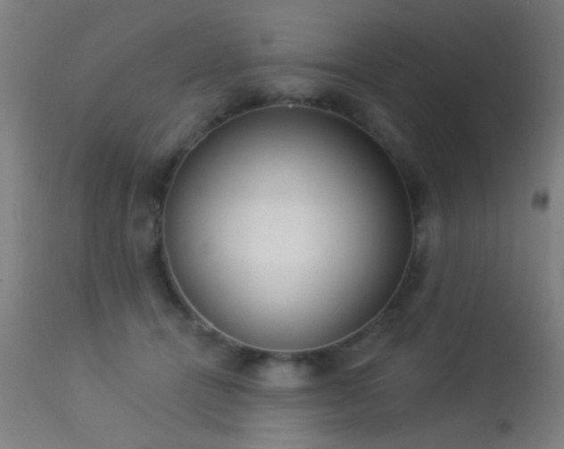 X0000113320464200909211200