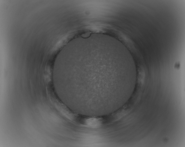 X0000113320465200909211200