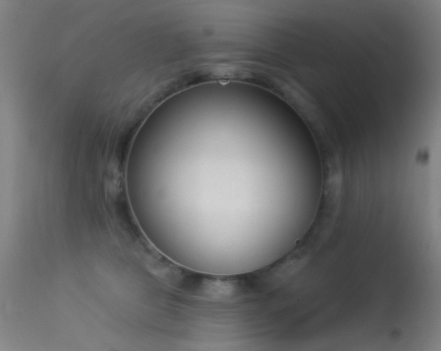 X0000113320469200909211200