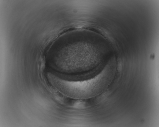 X0000113320471200909211200