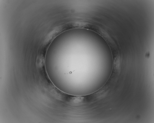 X0000113320474200909211200