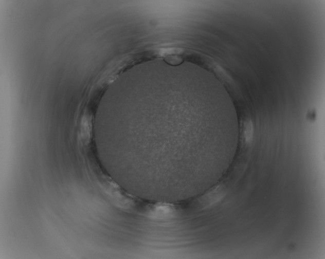 X0000113320475200909211200