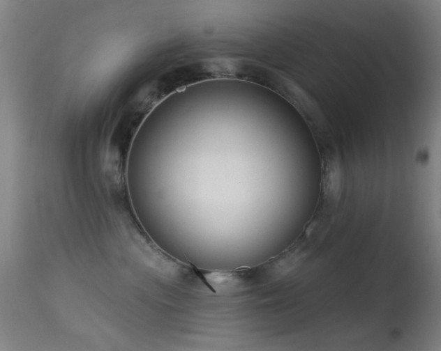 X0000113320477200909211200