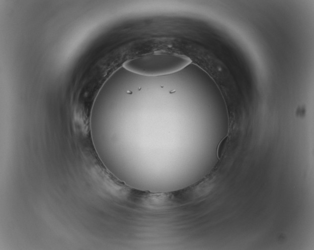 X0000113320479200909211200