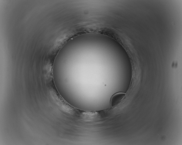 X0000113320480200909211200