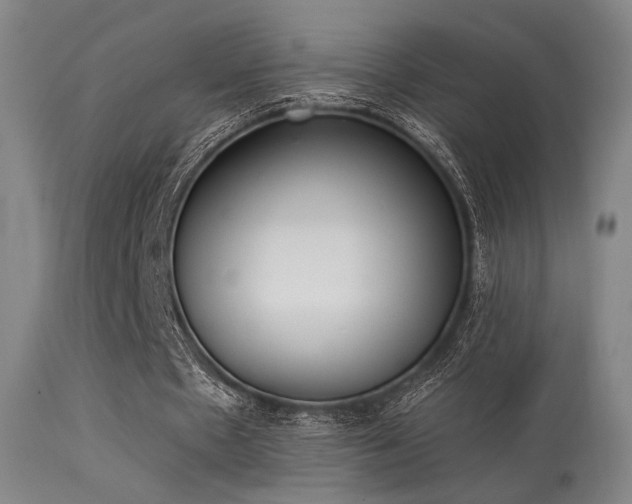 X0000113320481200909211200