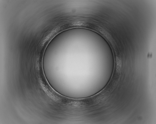 X0000113320482200909211200