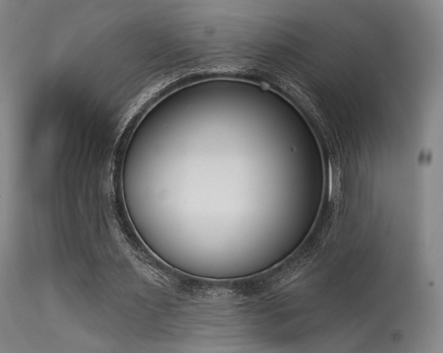 X0000113320483200909211200