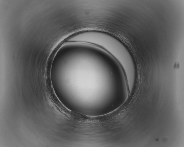 X0000113320484200909211159