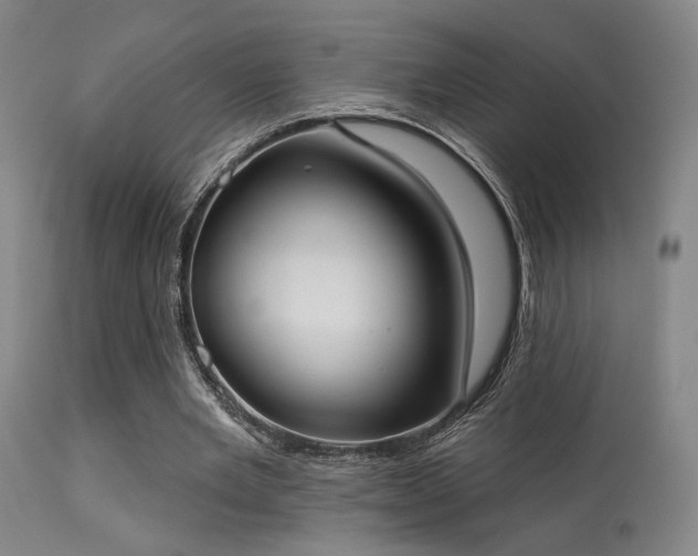 X0000113320485200909211159