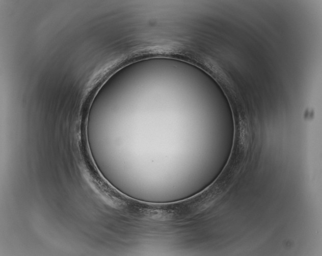 X0000113320486200909211159