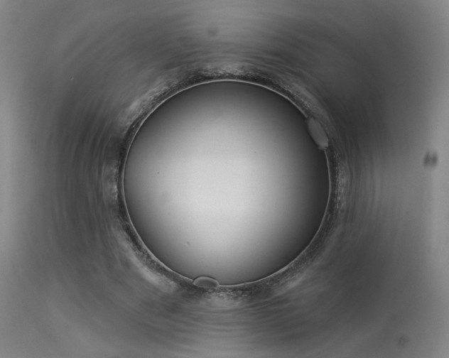 X0000113320489200909211159