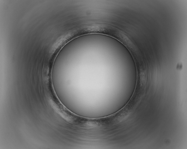 X0000113320490200909211159