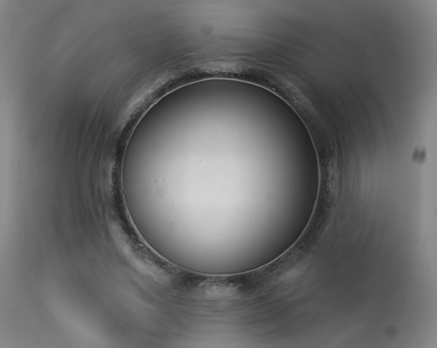 X0000113320491200909211159