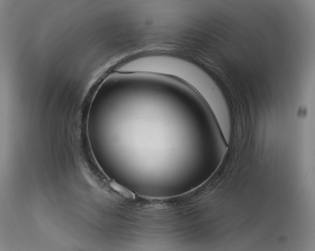 X0000113320492200909211159