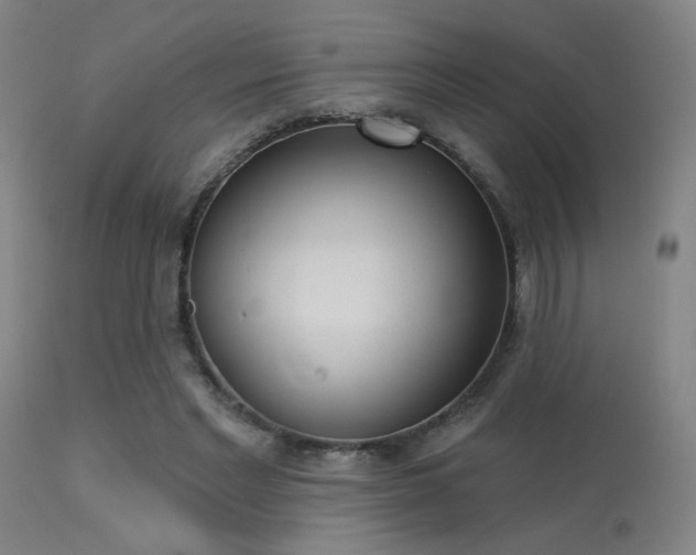 X0000113320493200909211159