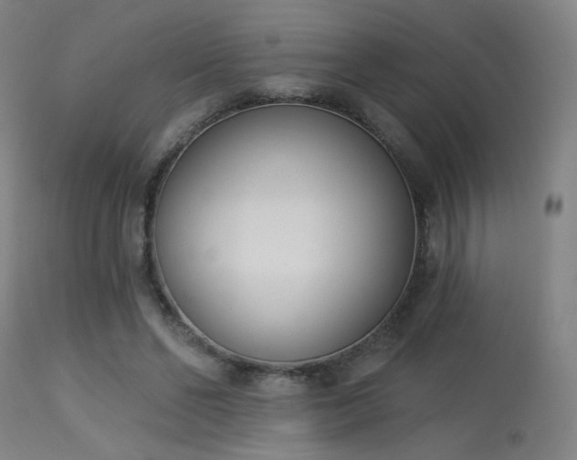 X0000113320494200909211159