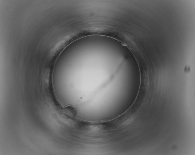 X0000113320495200909211159